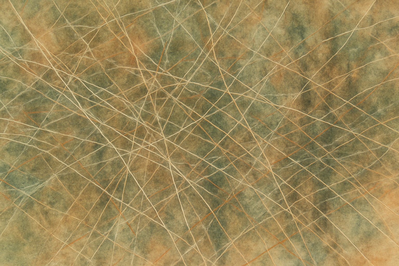 Silenti i fili tra i rami